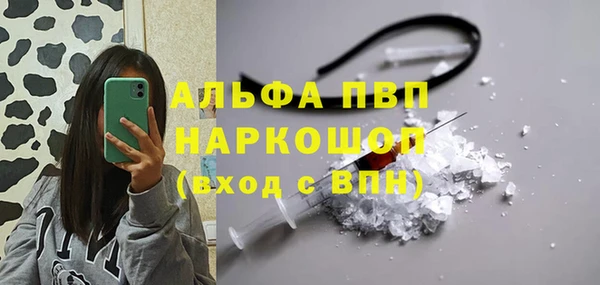 ECSTASY Алзамай