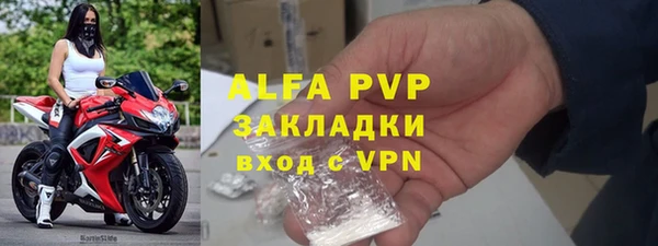 ECSTASY Алзамай