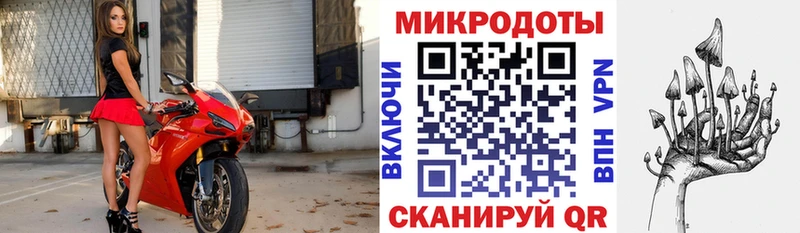 МЕГА маркетплейс Каргат Галлюциногенные грибы Psilocybine cubensis наркотики